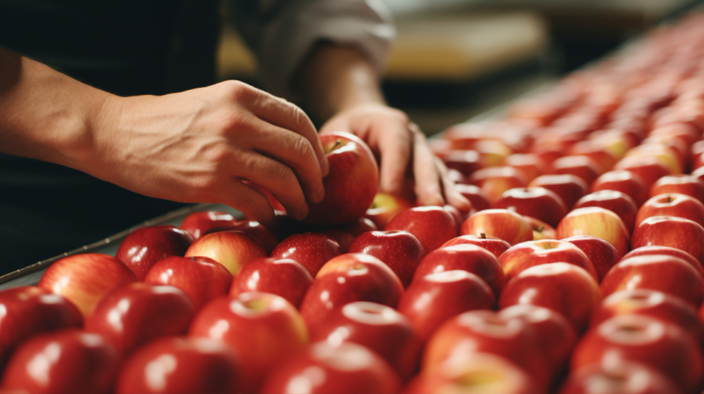 ¿Qué tiene que ver la propiedad intelectual con la seguridad alimentaria?